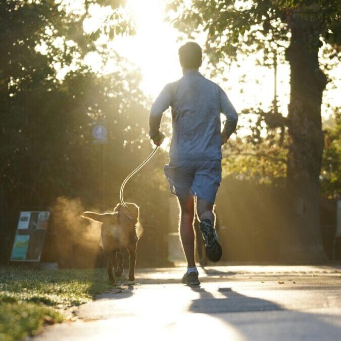 Back view of a man jogging with his dog on a sunny morning in an English park.
