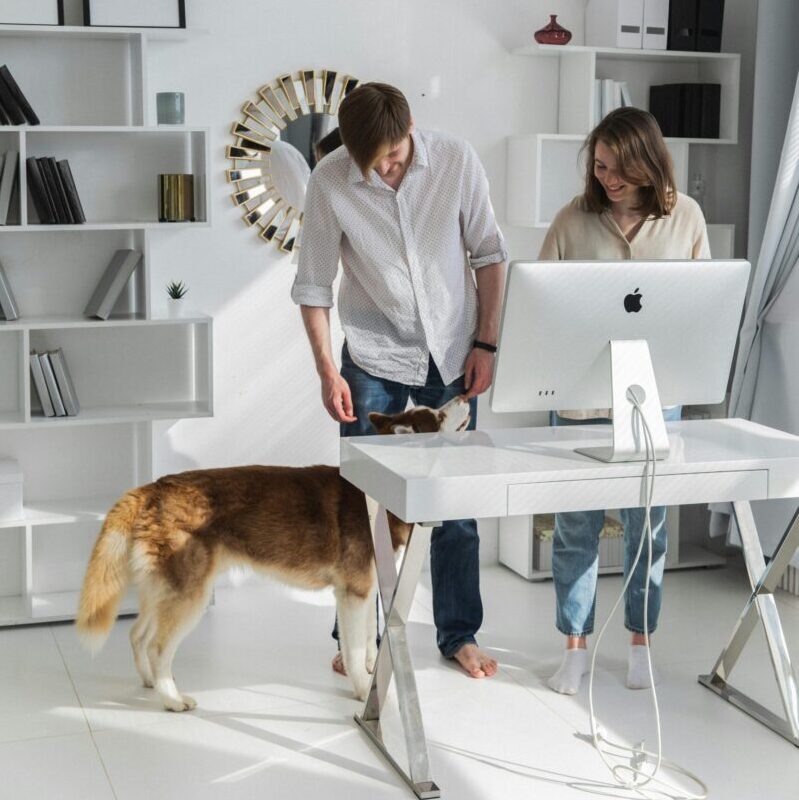 A happy couple working with their dog in a bright modern office.